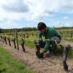 domaine-of-longchamp-vendée