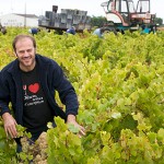 domaine-of-saint-nicolas-vendée